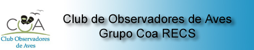 Grupo Coa RECS