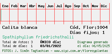 Estadisticas