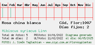 Estadisticas