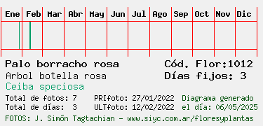 Estadisticas