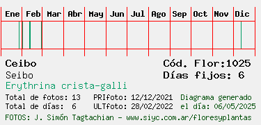 Estadisticas