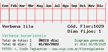 Estadisticas