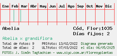 Estadisticas