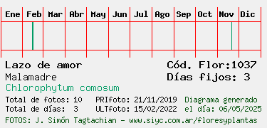 Estadisticas