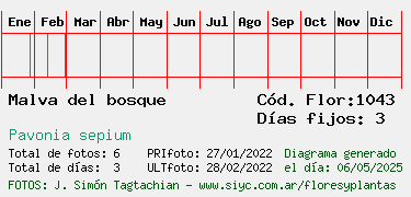 Estadisticas