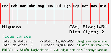 Estadisticas