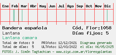 Estadisticas