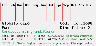 Estadisticas