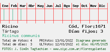 Estadisticas