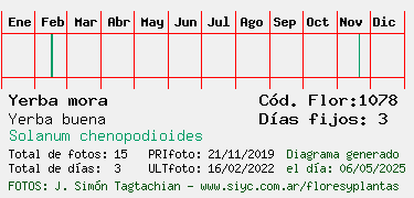Estadisticas