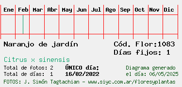 Estadisticas
