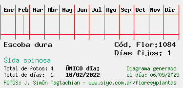 Estadisticas