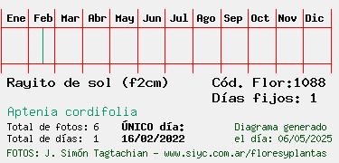 Estadisticas