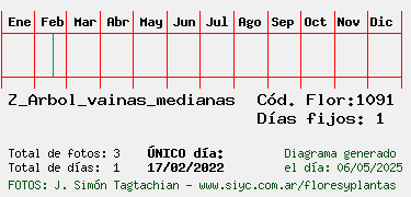 Estadisticas