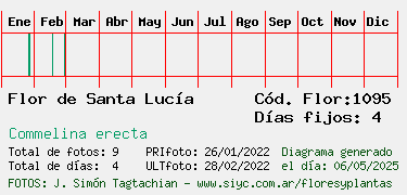 Estadisticas