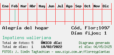 Estadisticas