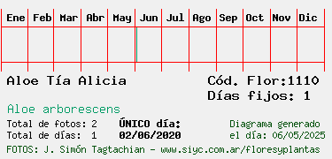 Estadisticas