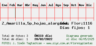 Estadisticas
