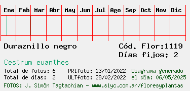Estadisticas