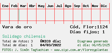 Estadisticas