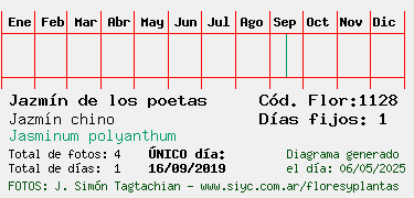 Estadisticas