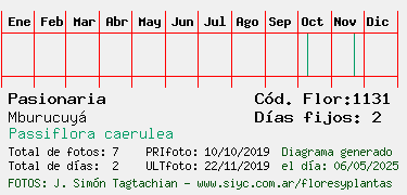 Estadisticas