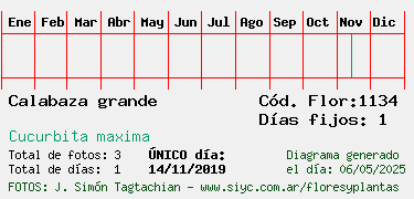 Estadisticas