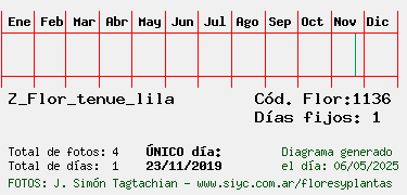 Estadisticas