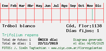 Estadisticas