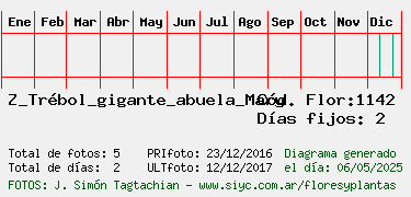 Estadisticas