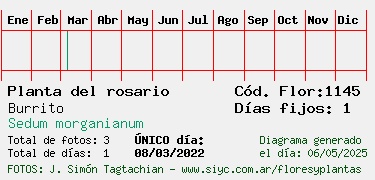 Estadisticas