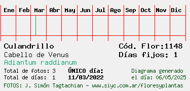 Estadisticas
