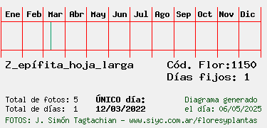 Estadisticas