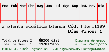 Estadisticas