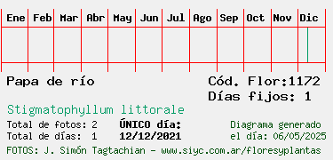 Estadisticas