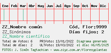 Estadisticas