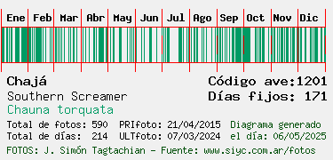 Estadisticas