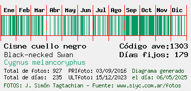 Estadisticas
