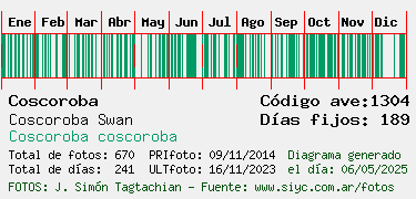 Estadisticas