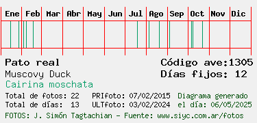 Estadisticas