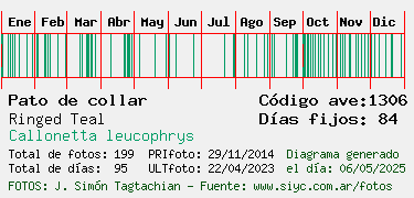 Estadisticas
