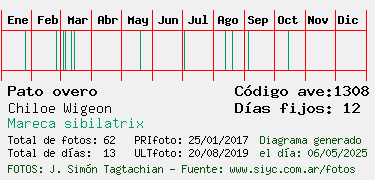 Estadisticas