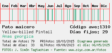 Estadisticas