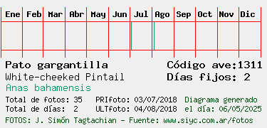 Estadisticas