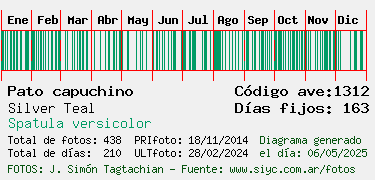 Estadisticas