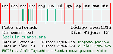Estadisticas