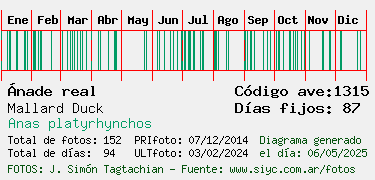 Estadisticas