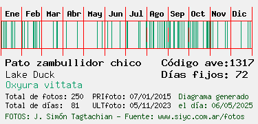Estadisticas