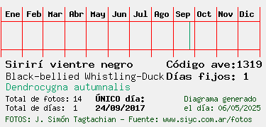 Estadisticas