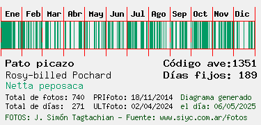 Estadisticas
